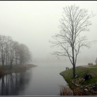 *** :: Aleksandr Gal