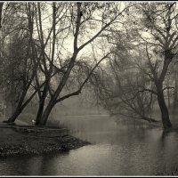 На канале :: Aleksandr Gal