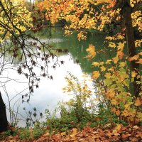 Картинки осени :: Рита Симонова