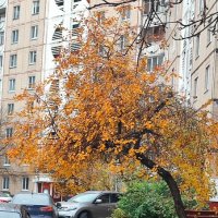 ,,, :: Сергей Тимоновский