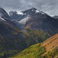 * :: Александр Иванов