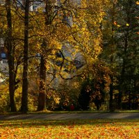 Утро осени :: Юрий. Шмаков