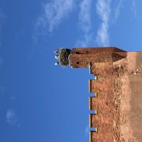 Аисты :: Ольга Савельева 