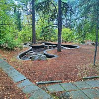 В парке санатория "Горный". :: Виктор Мухин