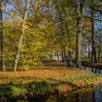 *** :: Геннадий Порохов