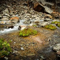 ГОРНЫЕ РУЧЬИ :: HART BAD