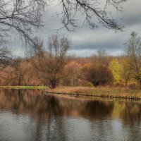 Ноябрь на Терлецких прудах :: Наталья Лакомова