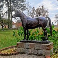 Памятник жеребцу Темпельхютеру :: Сергей Карачин