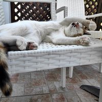 ВЕРХ   БЛАЖЕНСТВА :: Анатолий Малобродский