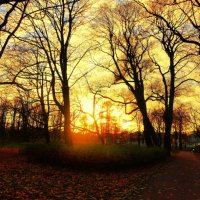 Ранний закат ноября :: Aida10 