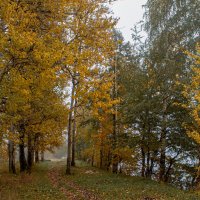 на берегу р,Волга :: Владимир Зеленцов