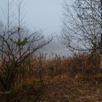 Туман на берегу :: Александр Синдерёв