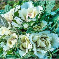 Про осень... :: Aquarius - Сергей