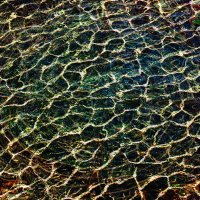 Абстракция №3 (Нейронная сеть) :: Сергей Фомичев