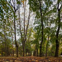 осень :: Ольга Косачова