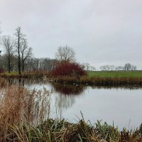 Парк Александрия :: Наталья Герасимова