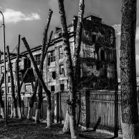 Ланшафт :: SanSan 