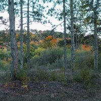 Природа Крыма :: Валентин Семчишин Природа Крыма :: Валентин Семчишин