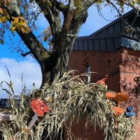 Осенний Калининград. :: Ольга 