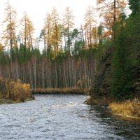 Осень на Мал. Сосьве :: Галина Ильясова