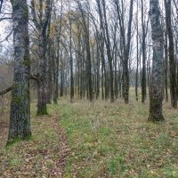 ___ :: Yuriy V ___ :: Yuriy V