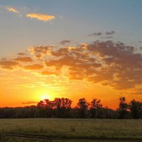 Утро. :: Александр 