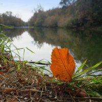 Зарисовки осени... :: Андрей Заломленков