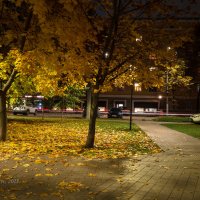 Вечерняя прогулка :: Александр Синдерёв