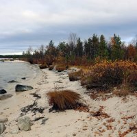 Ускользающая красота :: Ольга Ускользающая красота :: Ольга