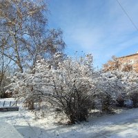 * :: Редкий Гость