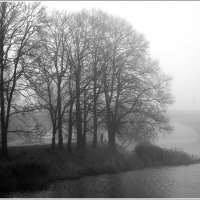 Туманно :: Aleksandr Gal