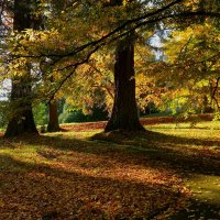 Ноябрь :: Юрий. Шмаков