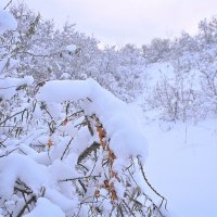 - :: Владимир Мигонькин