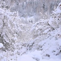 - :: Владимир Мигонькин - :: Владимир Мигонькин