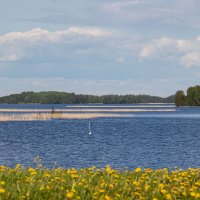 Кижи :: navalon M