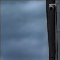 Глаза :: Александр Тарноградский