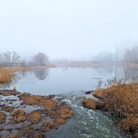 Туман :: Наталья 