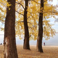 Три богатыря :: Надежда 