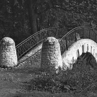 В Кузьминском парке :: Игорь Белоногов