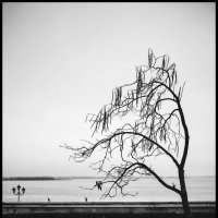 Искренность и натуральность :: Сергей В Искренность и натуральность :: Сергей В