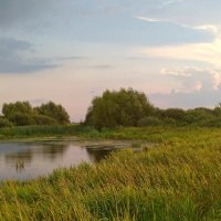 Вечер У озера. :: Сергей Рожков