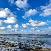 синее небо :: Ольга Косачова