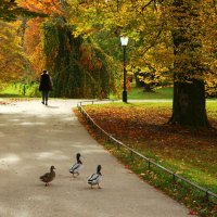 Прогулка по Лихтенталер аллее :: Юрий. Шмаков Прогулка по Лихтенталер аллее :: Юрий. Шмаков