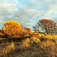 Балтийский берег :: Aida10 