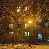 Снегопад в городе... :: Владилен Панченко