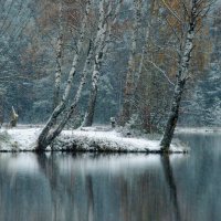 Первый снег............ :: Юрий Цыплятников