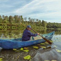 Среди кувшинок :: Сергей Винтовкин