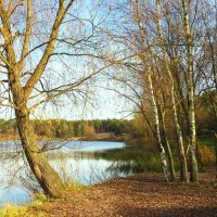 Осенний берег озера :: Андрей Снегерёв Осенний берег озера :: Андрей Снегерёв