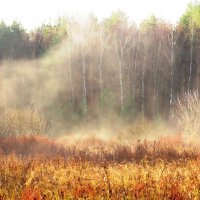 Клубящийся туман :: Андрей Снегерёв