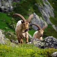 Двое ... :: Андрей Любимов Двое ... :: Андрей Любимов